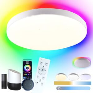 Etrogo Smart LED Taklampa med fjärrkontroll 2700K 4000K 6000K dimbar, 24W 2400LM, Retroilluminazione RGB, kompatibel med Alexa och Google Assistant för badrum, vardagsrum, sovrum, kök. Rund 28 cm